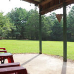 Spacious backyard at Cottage in the Woods, pet-friendly cabin Drasco AR